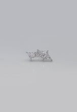Load image into Gallery viewer, Silver Earrings
