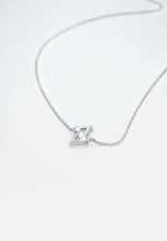 Load image into Gallery viewer, Silver Necklace

