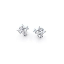 Load image into Gallery viewer, Silver Earrings
