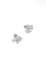 Load image into Gallery viewer, Silver Earrings
